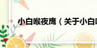 小白喉夜鷹(關于小白喉夜鷹簡介)