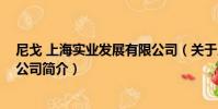 尼戈 上海實業發展有限公司(關于尼戈 上海實業發展有限公司簡介)