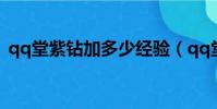 qq堂紫鉆加多少經驗(qq堂紫鉆有什么用)