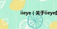 iieye(關于iieye的簡介)