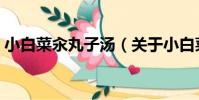 小白菜汆丸子湯(關于小白菜汆丸子湯簡介)