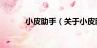 小皮助手(關于小皮助手簡介)