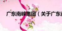 廣東南峰集團(關于廣東南峰集團介紹)