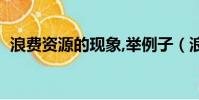 浪費資源的現象,舉例子(浪費資源的現象)