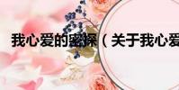 我心愛的密探(關于我心愛的密探的簡介)