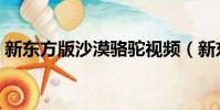 新東方版沙漠駱駝視頻(新東方版沙漠駱駝)