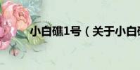 小白礁1號(關于小白礁1號簡介)