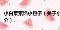 小白菜素餡小包子(關于小白菜素餡小包子簡介)