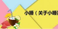 小睡(關于小睡簡介)