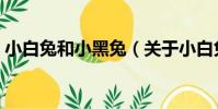 小白兔和小黑兔(關于小白兔和小黑兔簡介)