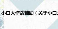 小白大作戰輔助(關于小白大作戰輔助簡介)