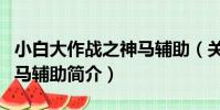 小白大作戰之神馬輔助(關于小白大作戰之神馬輔助簡介)