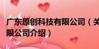 廣東原創科技有限公司(關于廣東原創科技有限公司介紹)