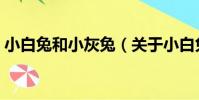 小白兔和小灰兔(關于小白兔和小灰兔簡介)