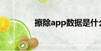 擦除app數據是什么意思?