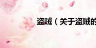 盜賊(關于盜賊的簡介)