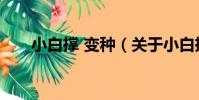 小白撐 變種(關于小白撐 變種簡介)