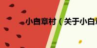 小白章村(關于小白章村簡介)