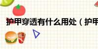 護甲穿透有什么用處(護甲穿透有什么用)