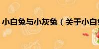 小白兔與小灰兔(關于小白兔與小灰兔簡介)