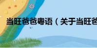 當旺爸爸粵語(關于當旺爸爸粵語的簡介)