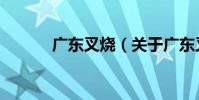 廣東叉燒(關于廣東叉燒介紹)