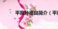 平度孫德良簡介(平度孫德良)