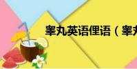 睪丸英語俚語(睪丸 英語)