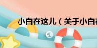小白在這兒(關于小白在這兒簡介)