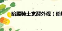暗殿騎士覺醒外觀(暗殿騎士覺醒)