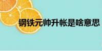 鋼鐵元帥升帳是啥意思(鋼鐵元帥)