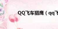 QQ飛車獵鷹(qq飛車綠鷹)