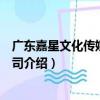廣東嘉星文化傳媒有限公司（關于廣東嘉星文化傳媒有限公司介紹）