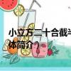小立方二十合截半二十面體（關于小立方二十合截半二十面體簡介）