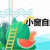 小窗自紀（關于小窗自紀簡介）