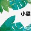 小豎村（關于小豎村簡介）