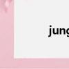 jungleflasher win7報錯