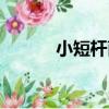 小短桿菌（關于小短桿菌簡介）