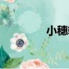 小穗軸（關于小穗軸簡介）