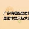 廣東嘀嗒酷顯柔性顯示技術股份有限公司（關于廣東嘀嗒酷顯柔性顯示技術股份有限公司介紹）