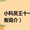 小科員王十一之拍客（關于小科員王十一之拍客簡介）