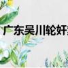 廣東吳川輪奸案（關于廣東吳川輪奸案介紹）