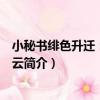 小秘書緋色升遷：官路風云（關于小秘書緋色升遷：官路風云簡介）