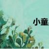 小童星（關于小童星簡介）