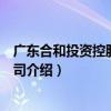 廣東合和投資控股有限公司（關于廣東合和投資控股有限公司介紹）