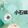 小石蛾科（關于小石蛾科簡介）