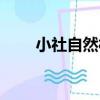 小社自然村（關于小社自然村簡介）