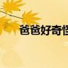 爸爸好奇怪（關于爸爸好奇怪的簡介）