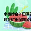 小秦嶺金礦田深部金礦化特征及評價準則的研究（關于小秦嶺金礦田深部金礦化特征及評價準則的研究簡介）