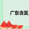 廣東含笑_1（關于廣東含笑_1介紹）